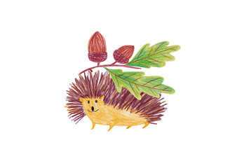 Illustration with funny hedgehog and acorns