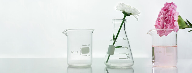 glass flask and beaker with pink white flower and green plant biotechnology cosmetic science white...