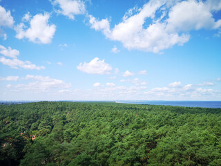 Fototapeta na wymiar Panoramic view on Sobieszewo, artistic look in colours.