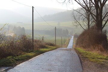 Small road in nature