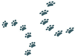 動物の足跡円状配置冬