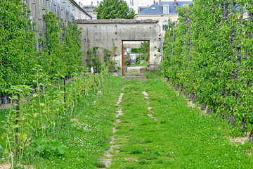 Versailles; France - june 16 2019 : Le potager du roi