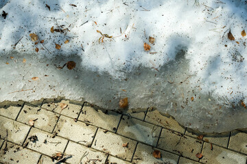 Walkway in the garden in spring. Snow melts, old branches and leaves