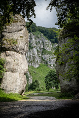 A picturesque limestone rock formation called "Cracow gate“, surrounded with trees. 
Ojcow, Polish Jura, Poland.