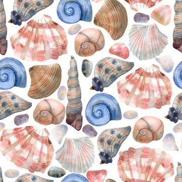 Beautiful seamless pattern with  seashells. Hand painted watercolor illustration on white background. Great for fabrics, wrapping papers, covers. Ocean and sea theme.