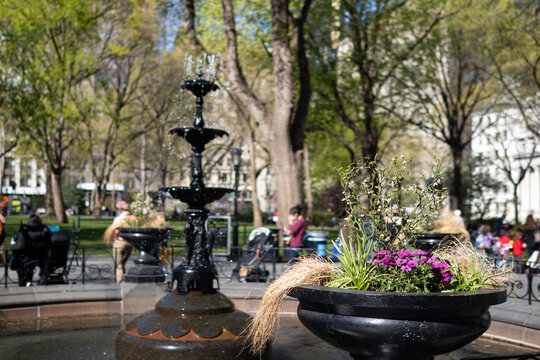 Flower Pot Next To The Fountain At Madison Square Park In New York City During Spring