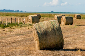 Reportage sur l' Agriculture