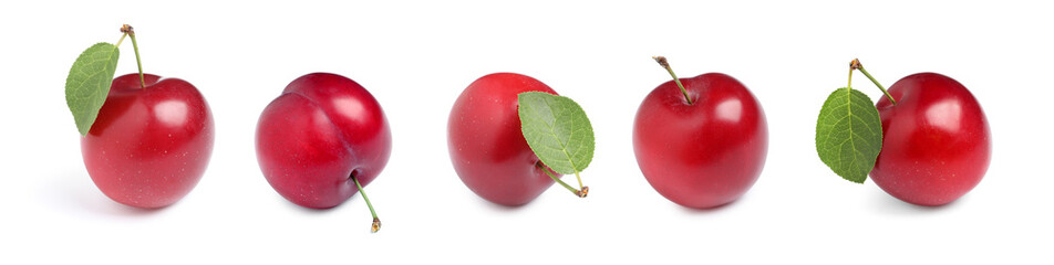 Set with delicious ripe cherry plums on white background. Banner design