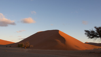 Fototapeta na wymiar Huge red dune at Sossusvlei National Park, located in the arid Namib desert.