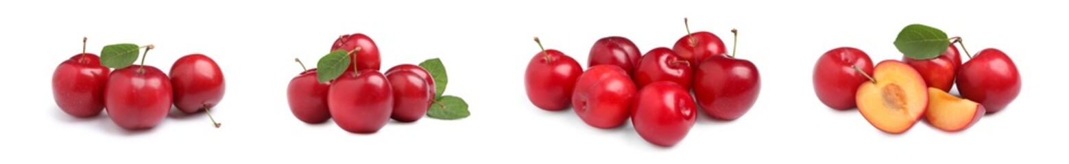 Set with delicious ripe cherry plums on white background. Banner design