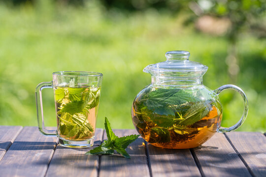 Healthy nettle tea in a glass tea pot and mug in the summer garden on wooden table