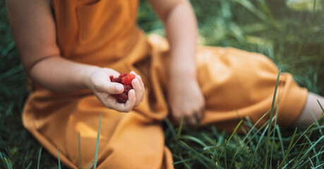 Child sitting on the grass holds raspberries in his hands