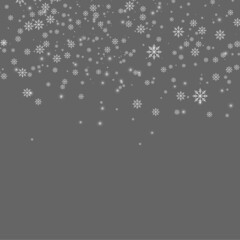 Snowflakes. Vector Christmas and New Year decoration elements