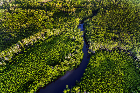 Remote wilderness northern Australia, watercourse and forest