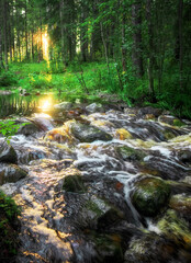 Forest river creek water flow. Beautiful landscape with sunset sky