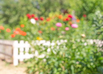 Blurred garden background with bokeh lights, blurred spring green garden with flower
