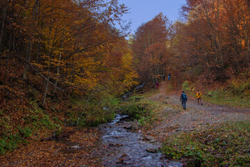 Fototapeta premium View of hills of Water Dividing ridge