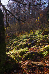 View of hills of Water Dividing ridge