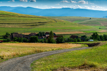 Fototapeta premium Dirt road leading to a small hungarian village at summertime in Transylvania, Romania.