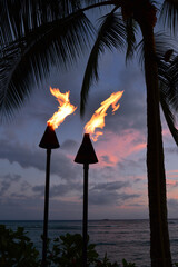 Traditional Hawaiian Torches