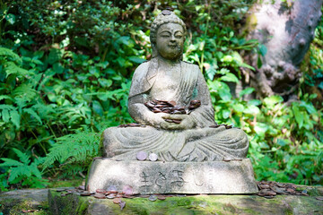 Buddha statue in the garden, money over statue