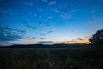 wildlife landscape in the russian federation