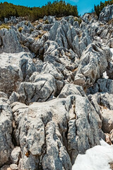 Details of fossilized corals at the famous Steinplatte summit, Waidring, Tyrol, Austria