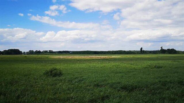 Brandenburger Heidelandschaft