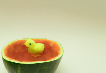 Toy yellow chicken as a symbol of Easter in a watermelon, creative summer concept.