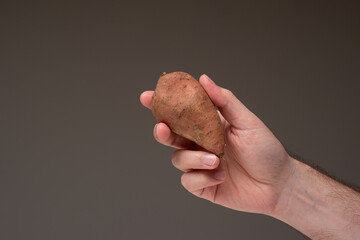 Raw brown sweet potato held by male hand, close up studio shot, isolated