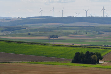 rheinhessische sommerlandschaft