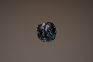 Single fresh ripe plum fruit. Close up studio shot, isolated on brown background