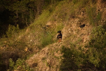 foto producto skate ropa