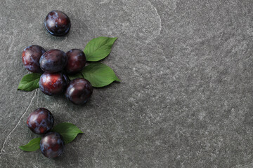 Overhead view of fresh purple damson plums with leaves on stone table, copy space on the right.