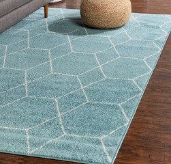 Modern multicolour living area interior room rug texture design.