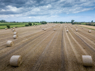 Reportage sur l' Agriculture