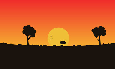 Fototapeta na wymiar silhouette of a tree in sunset landscape