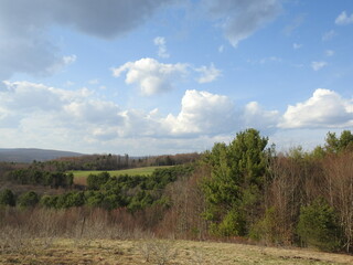 The beautiful springtime scenery of the Elk State Forest wilderness, in northcentral Pennsylvania.