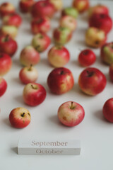 hello autumn card with fresh red apples on white background top view
