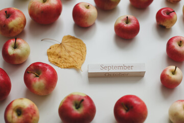 hello september. autumn card with fresh red apples on white background top view