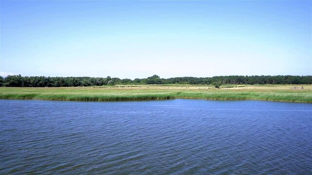 Boddenlandschaft auf Fischland-Dar&szlig;