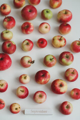 hello september. autumn card with fresh red apples on white background top view