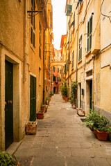 Fototapeta na wymiar Street view of an Italian alley in summer
