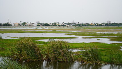 lake we area in chennai