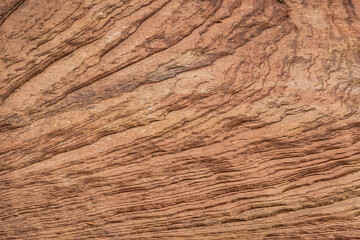 Sandstone texture image from the side of a mountain in Utah’s Zion National Park.