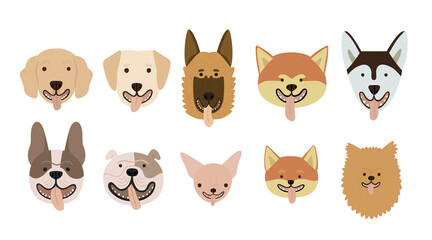 Collection set of cute dogs breeds vector illustration.