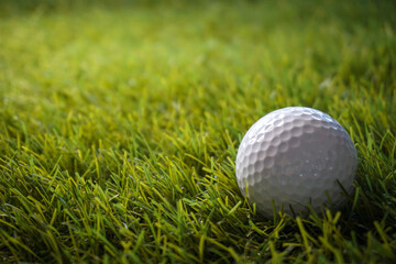 Golf ball on grass