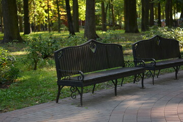 Benches in an old park