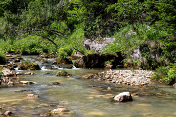 A sunny summer day, the sources of mountain rivers originating in alpine meadows replenish the ecosystem of vital resources with clean water.