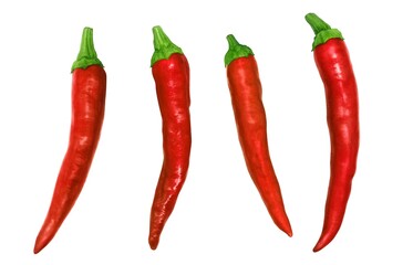 唐辛子 赤唐辛子 鷹の爪 イラスト リアル 